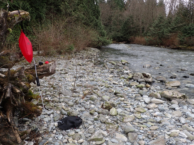 filtering water among the creekside cobbles