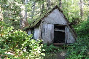 Randel Washburne's decayed cabin in the woods