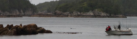 fishermen in a boat approach the eagle who stole their catch