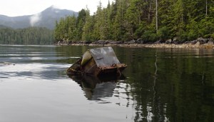 Flotsam: a storage tank washed off a fishing boat