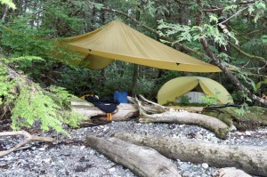tarp and tent 