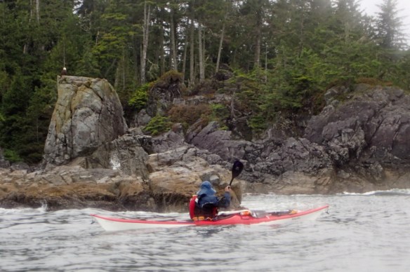 a sea kayak paddles past an eagle on the rocks