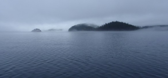 islands in the fog