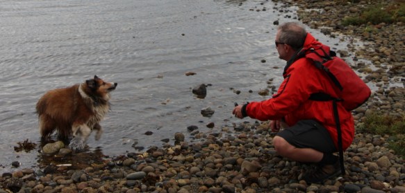 a dog and her owner playing on the beach
