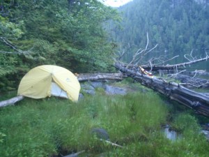 a tent propped against a driftwood log near the water's edge