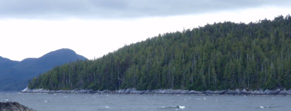 an ocean inlet alive with waves