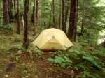 a tent set up in the woods at Sarah Island, BC