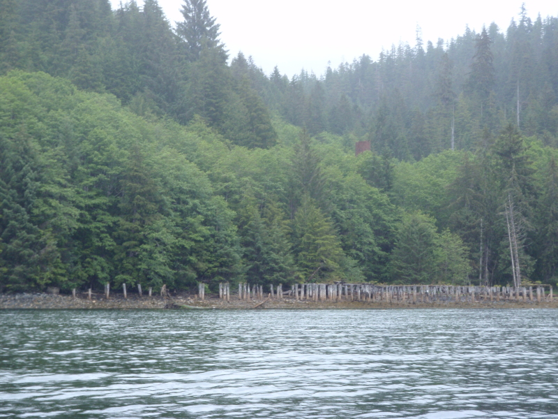 The ruins at Swanson Bay, British Columbia