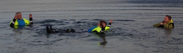 three drysuited sea kayakers bobbing in the water