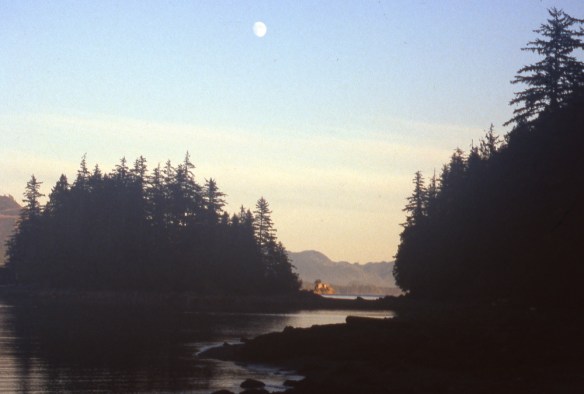 moonrise over a seascape