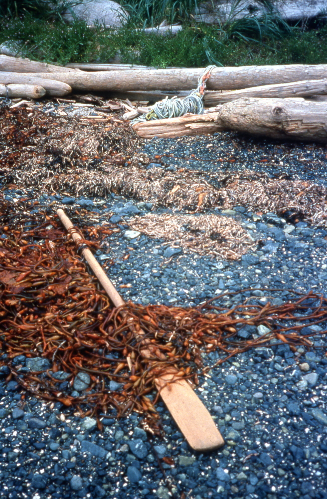 an oar washed up on a gravel beach