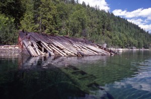 a half sunken barge slopes into the water