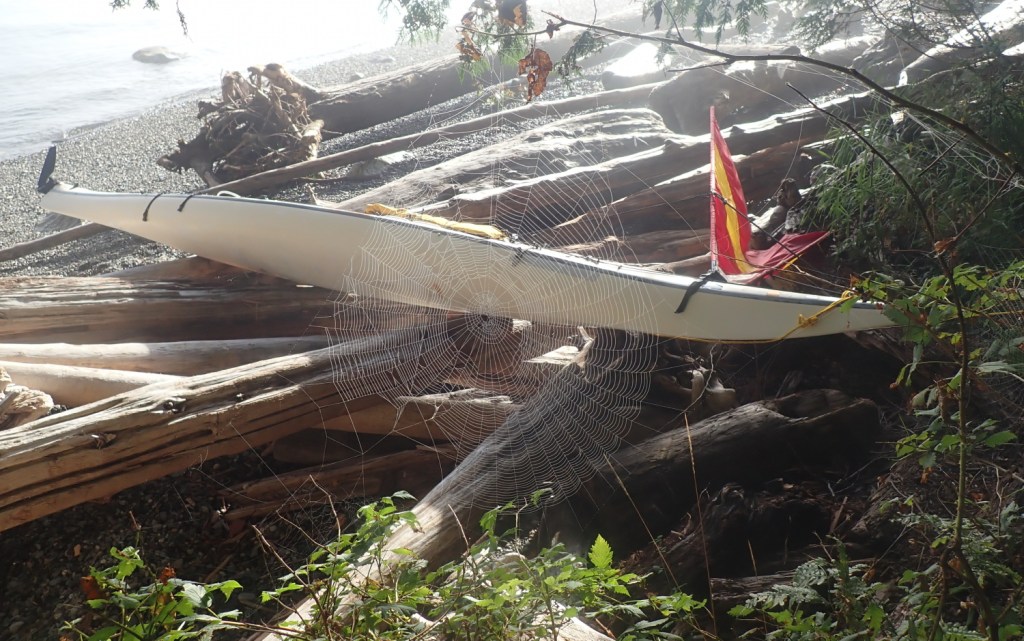a spider's web, backlit, with a sea kayak visible on the beach behind it